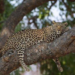 Meet your Posher, Juliette